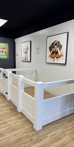 Idaho Puppy Co Twin Falls